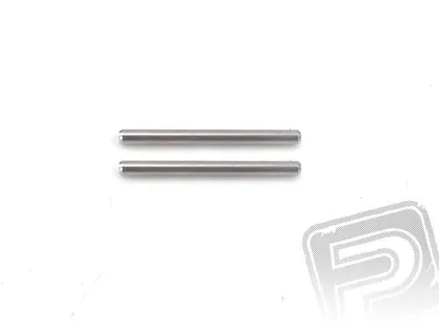 Immagine prodotto di Spine 2,5x30 (2 pezzi)