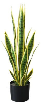 Produktbild von Kš¹nstliche Sansevieria Bogenhanf 70Cm Gelb