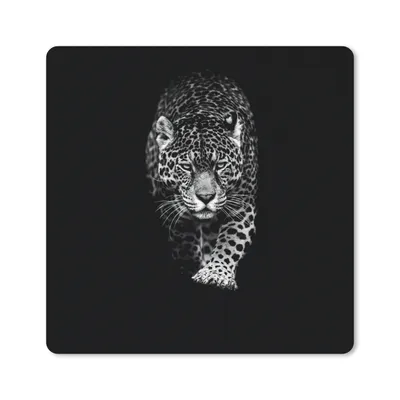 Produktbild von MuchoWow® Mauspad Mousepad Tiere - Schwarz - Leopard - Weiß - Wild 20x20 cm - Mousepads - Maus Mat - Pad - Mausunterlage - Desk Mat - Bureauartikeln