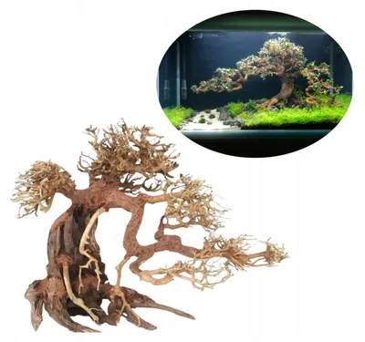 Zdjęcie produktu dla Dekoracja do akwarium, korzeń bonsai 40 x 30 cm, realistyczny