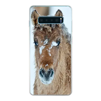 Produktbild von MuchoWow® Handyhülle Schutzhülle Hülle für Samsung Galaxy S10 Lite Junges Fjordpferd mit Schnee bedeckt Silikon Softcase Handy Hülle - Schutz