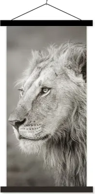 Produktbild von MuchoWow® Textilposter Löwe - Wilde Tiere - Schwarz 60x120 cm mit schwarzem Rahmen - Magnete