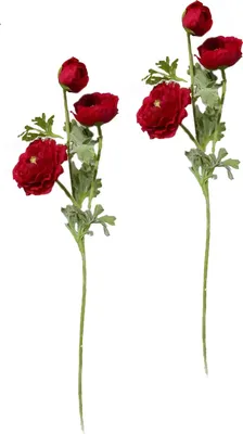 Produktbild von Künstliche Ranunkelblume Rot, 64 cm, 2er Set