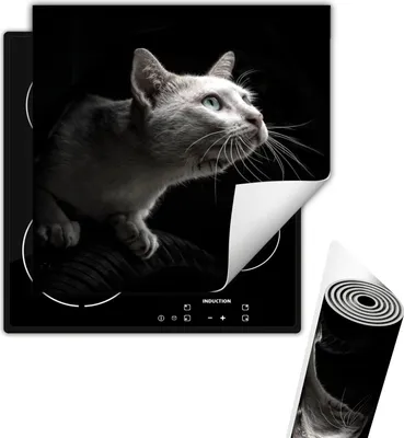 Produktbild von Herdabdeckplattee Glaskeramikkochfeld-Abdeckung 50x52 cm Anti Rutsch Matte Aufrollbar, Schwarz Katze
