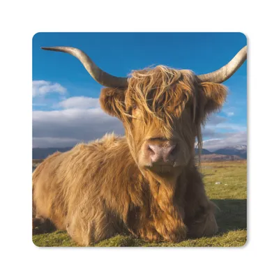 Produktbild von MuchoWow® Mauspad Mousepad Schottische Highlander - Licht - Natur 20x20 cm - Mousepads - Maus Mat - Pad - Mausunterlage - Desk Mat - Bureauartikeln