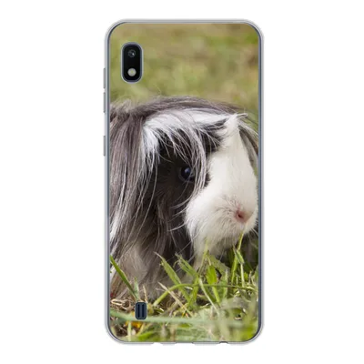 Produktbild von MuchoWow® Handyhülle Schutzhülle Hülle für Samsung Galaxy A10 Langhaar-Meerschweinchen Silikon Softcase Handy Hülle - Schutzhülle