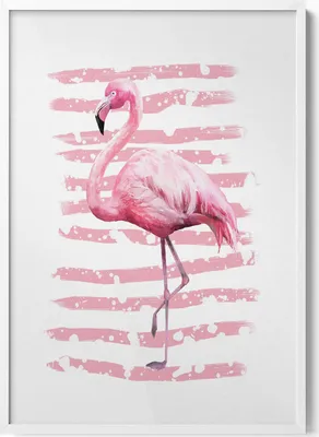 Produktbild von Flamingo– Wandbild mit Rahmen – Gerahmtes Bild  – Wanddekoration – 70x100 cm –  Weiß Rahmen