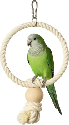 Image de Cerceau en coton pour les petits perroquets taille S/M