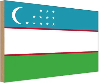 Produktbild von vianmo Holzschild 12x18 cm Usbekistans Uzbekistan Flagge Fahne Wappen