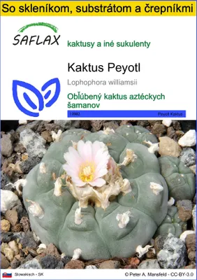 Produktbild von SAFLAX Kultivačný set - Kaktus Peyotl - Lophophora williamsii - 20 Semená - S mini skleníkom, pestovateľským substrátom a 2 črepníkmi