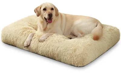Immagine prodotto di Cuccia per cani, lavabile, in peluche, 105x70 cm, color kaki e beige, con base antiscivolo