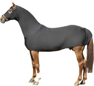 A horse wearing a full body suit.