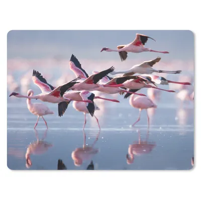 Produktbild von MuchoWow® Mauspad Mousepad Flamingo - Vogel - Wasser - Rosa 23x19 cm - Mousepads - Maus Mat - Pad - Mausunterlage - Schreibtischunterlage - Mauspad