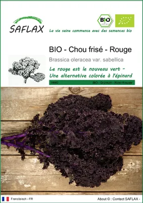Image de SAFLAX  -- Chou frisé - Rouge - 50 graines - Brassica