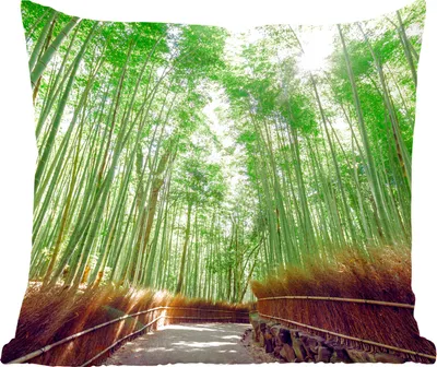 Produktbild von MuchoWow® Zierkissen Sofakissen Wohnzimmer Dekokissen 60x60 cm Bambushain in Arashiyama Japan - Sitzfläche - Foto Polster