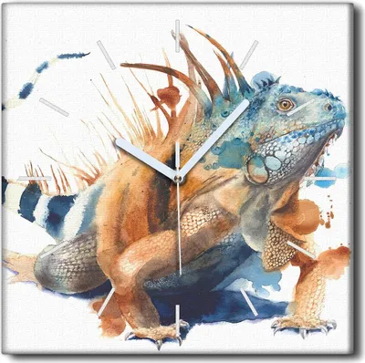 Produktbild von Coloray Uhr auf Leinwand 30x30 cm Wand Uhr Dekoration Wohnzimmer Segeltuch weiße Zeiger -Leguanische Tier Tropics.