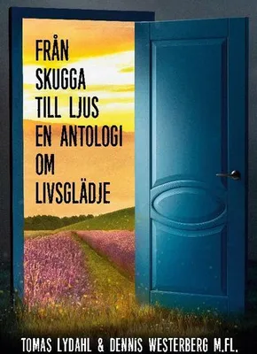 Produktbild von Från skugga till ljus