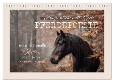 Produktbild von Pferdepoesie - Augenblicke voller Seele (Tischkalender 2027 DIN A5 quer), CALVENDO Monatskalender