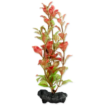 Obrázek produktu pro Rostlina Red Ludwigia S 1 ks