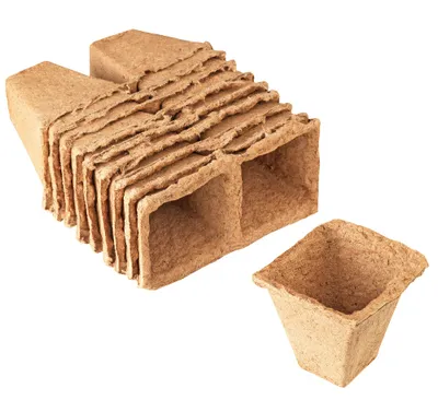 Produktbild von CONNEX Anzuchttöpfe 6 cm quadratisch (20 Stück)