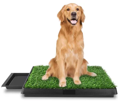 Productafbeelding van Sailnovo Hondenplasbak, Hondenwc, Puppytoilet met kunstgras, 63x50 cm. Honden toilet