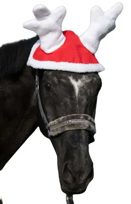 Produktbild von Winter Weihnachtsmütze Pferde mit Rentiergeweih Weihnachts Ohrenschutz Geweih HorseGuard in F/S