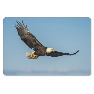 Produktbild von MuchoWow® Schreibtischunterlage Vogel - Adler - Raubvögel 60x40 cm - XXL Mauspad - Großes Mauspad