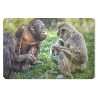 Produktbild von MuchoWow® Mauspad Mousepad Affen - Tiere - Familie 27x18 cm - Mousepads - Maus Mat - Pad - Mausunterlage - Büroartikel - Desk Matten