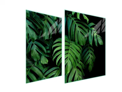Obrázek produktu pro Ochranná Deska Pro Herd 70X52 Monstera