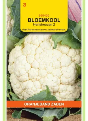 Imagen del producto de Oranjeband: Brócoli "Blumenkohl Herbstriesen" - 2 - 1 paquete de semillas