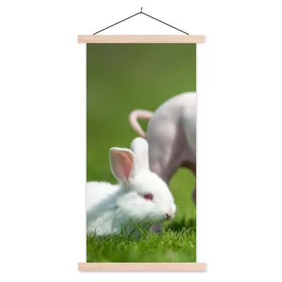 Produktbild von MuchoWow® Textilposter Ferkel - Kaninchen - Tiere 60x120 cm mit holzfarbenen Rahmen - Holz