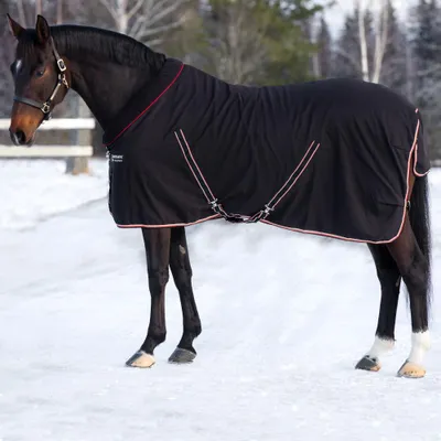 Produktbild von Horseware Rambo Cosy Stable 400g - Black