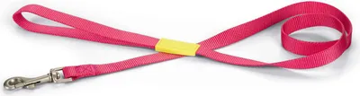 Image de Beeztees Uni - Laisse pour chien - rose - 120 cm x 20 mm
