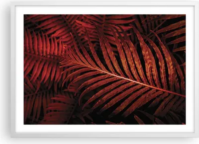 Produktbild von Gerahmtes Poster - Weißer Rahmen - Rot Blätter Palmen - 70x50 cm - Wand Bild - Wanddeko - Wandbilder - Kunstposter - Wandposter - Bilderrahmen - Bilder - Kunstdruck - Wanddekoration - P2WAA70x50-4816