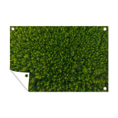 Obrázek produktu pro MuchoWow® Zahradní plakáty - Les - Strom - Zelený - 60x90 cm - Zahradní dekorace