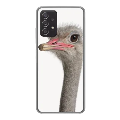 Produktbild von MuchoWow® Handyhülle Schutzhülle Hülle für Samsung Galaxy A53 5G Strauß - Tiere - Kinder - Jungen - Mädchen - Vogel Silikon Softcase Handy Hülle - Schutzabdeckung