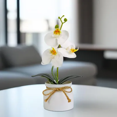 Produktbild von Künstliche Pflanze - Heimdekoration - Orchidee - weiß - 20 x 9 cm 1 Stück [11889B], KI-generiertes Bild
