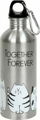 Produktbild von Könitz Flasche Cool Bottle - Funny Cats, Thermoflasche, Outdoorflasche, Doppelwandig mit Verschluss, Edelstahl, Silbern, 600 ml, 11 9 244 2075