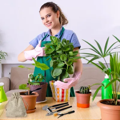 Produktbild von Gartenwerkzeug-Set 13-tlg schwarz mit Aufbewahrungstasche