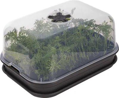Obrázek produktu pro ELHO Sada minipařeniště Green Basics M, černá