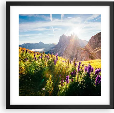 Produktbild von Gerahmtes Poster - Schwarzer Rahmen - Berge Wiese Blumen - 40x40 cm - Wand Bild - Wanddeko - Wandbilder - Kunstposter - Wandposter - Bilderrahmen - Bilder - Kunstdruck - Wandbild - P2BAC40x40-4008