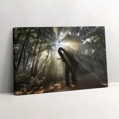 Produktbild von Elefant im Dschungel – Leinwandbild Wandbild – 60x40 cm – Leinwandbilder – Wandbilder – Schlafzimmer – Flur
