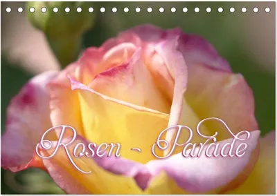 Produktbild von Rosen - Parade (Tischkalender 2025 DIN A5 quer), CALVENDO Monatskalender