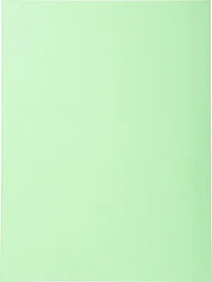 Produktbild von Exacompta 5x 100er Aktendeckel Recycling 24x32cm - Giftgrün - 420004E