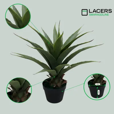 Produktbild von Lacers SMARAGDLINE Pflegeleichte künstliche Agaven – 60cm-realistische Optik-wie echt wirkende Kunstpflanze-Dekoration für Wohnzimmer, Balkon & Büro