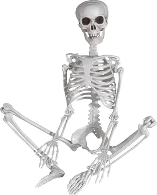 Obrázok produktu pre Halloween kostra 90 cm, pohyblivé kĺby, plast, 1 ks, pre halloweensku párty