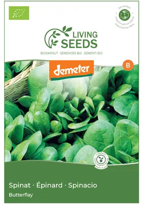 Produktbild von Spinat Butterflay 13.6g Saatgut von Living Seeds