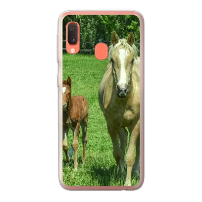 Produktbild von MuchoWow® Handyhülle Schutzhülle Hülle für Samsung Galaxy A20e Pferd - Fohlen - Tiere Silikon Softcase Handy Hülle - Abdeckung