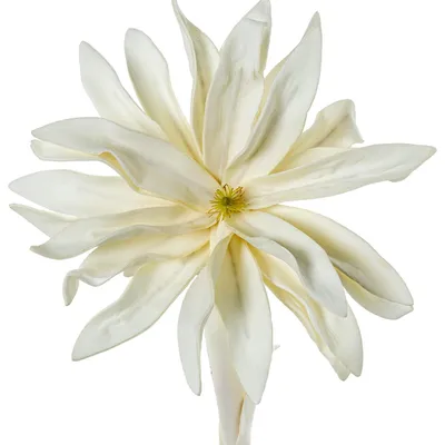 Immagine prodotto di Set DRW con 6 fiori artificiali realizzati in schiuma EVA, plastica e carta bianca, dimensioni 20 x 20 x 65 cm. Dimensioni: 20x20x65cm