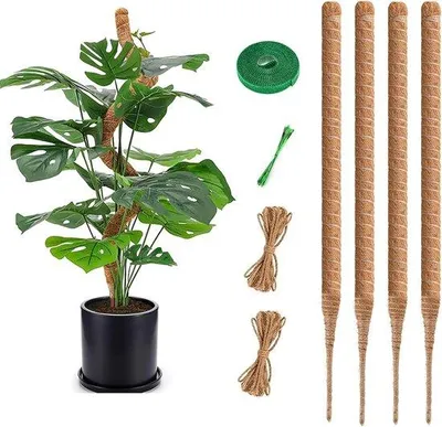 Image de Tuteurs flexibles pour plantes grimpantes, 61 cm, lot de 4